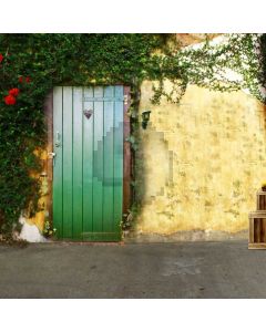 Door Wall Grass Sunshine Flower Wood Floor Computer Printed Photography Backdrop HXB-268