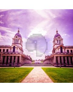 Castle Purple Light Grass Brick Floor Computer Printed Photography Backdrop HXB-272
