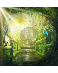 Forest Tree Butterfly Sunshine Stairs Computer Printed Photography Backdrop HXB-273