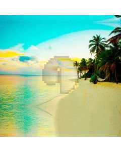 Sea Sunset Beach Tree Computer Printed Photography Backdrop HXB-275