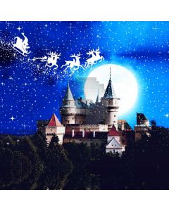 Night Moon Castle Tree Cloud Computer Printed Photography Backdrop HXB-277