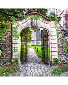 Arch Grass Brick Floor Computer Printed Photography Backdrop HXB-278