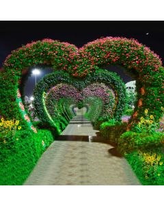 Heart Grass Flower Light Computer Printed Photography Backdrop HXB-281