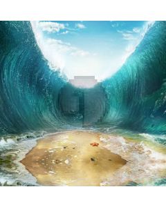 Sea Wave Road Sky Cloud Starfish Computer Printed Photography Backdrop HXB-285