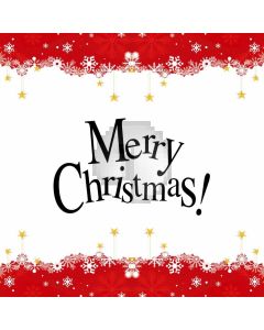Merry Christmas Snow Star Computer Printed Photography Backdrop HXB-322