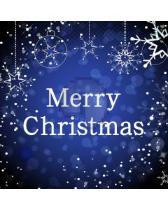 Christmas Snowflake Night Sky Star Computer Printed Photography Backdrop HXB-330