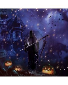 Scarecrow Latern Star Castle Bat Computer Printed Photography Backdrop HXB-364