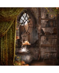Lantern Curtain Window Birdcage Computer Printed Photography Backdrop HXB-384