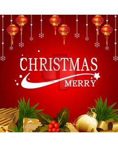 Christmas Ball Plant Computer Printed Photography Backdrop HXB-394