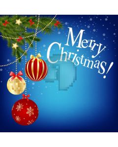 Christmas Ball Plant Star Computer Printed Photography Backdrop HXB-398