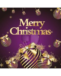 Merry Christmas Present Ball Computer Printed Photography Backdrop HXB-403