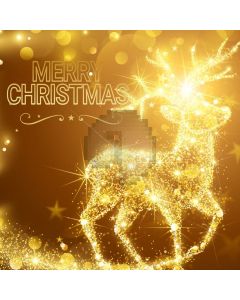 Deer Christmas Bubble Sunshine Computer Printed Photography Backdrop HXB-415