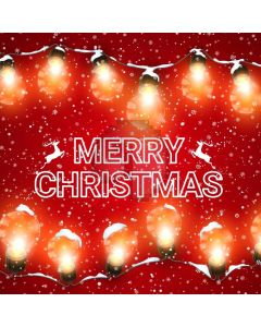 Christmas Bulb Snowflake Computer Printed Photography Backdrop HXB-416