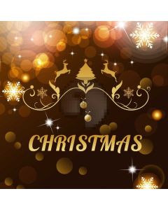 Christmas Snowflake Bubble Light Computer Printed Photography Backdrop HXB-421