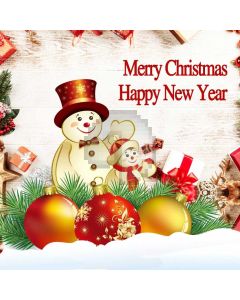 Christmas New Year Snowman Ball Grass Computer Printed Photography Backdrop HXB-425