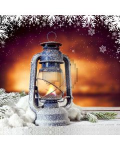 Light Fire Snow Plant Computer Printed Photography Backdrop HXB-437