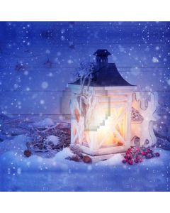Snow Fire House Flower Computer Printed Photography Backdrop HXB-438