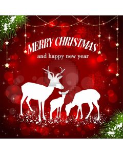 Deer Bubble Plant Christmas Computer Printed Photography Backdrop HXB-443