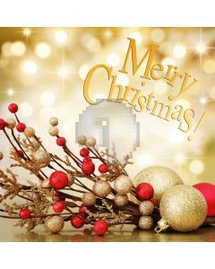 Christmas Flower Bubble Computer Printed Photography Backdrop HXB-444