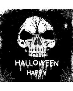 Skull Spiderweb Black Gloomy Computer Printed Photography Backdrop HXB-461