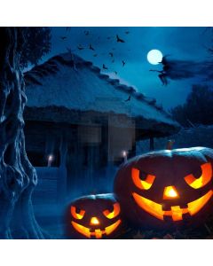 House Bat Pumpkin Lantern Moon Computer Printed Photography Backdrop HXB-465