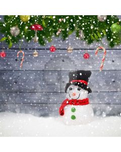 Snowman Wall Balloon Plant Computer Printed Photography Backdrop HXB-493