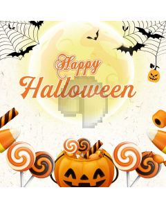 Halloween Lantern Spiderweb Bat Computer Printed Photography Backdrop HXB-501
