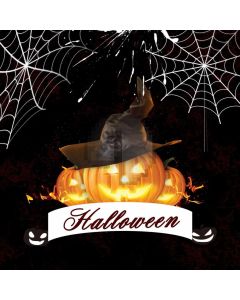 Lantern Spiderweb Hat Computer Printed Photography Backdrop HXB-503