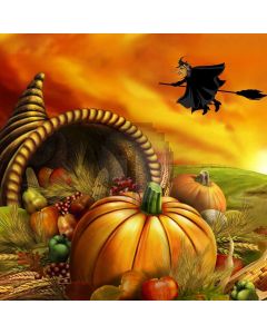Lantern Witch Vegetable Sunset Computer Printed Photography Backdrop HXB-506