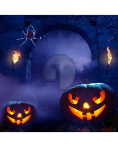 Lantern Fog Light Arch Spider Computer Printed Photography Backdrop HXB-511