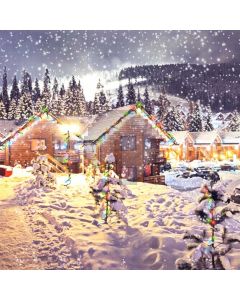 Snow House Tree Light Computer Printed Photography Backdrop HXB-517