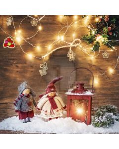 Snowman Light Snow Flower Tree Computer Printed Photography Backdrop HXB-523