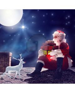 Santa Claus Deer Moon Night Brick Computer Printed Photography Backdrop HXB-546
