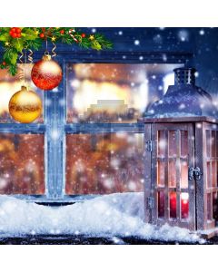 Ball Plant Snow Cage Bubble Computer Printed Photography Backdrop HXB-554