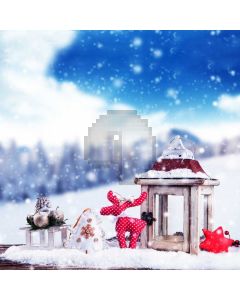 Snow Tree Desk Ball Computer Printed Photography Backdrop HXB-566