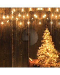 Tree Light Wood Wall Computer Printed Photography Backdrop HXB-568