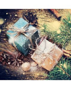 Present Leaves Sunshine Ball Computer Printed Photography Backdrop HXB-575