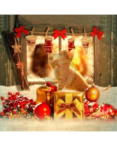 Present Flower Cat Sock Computer Printed Photography Backdrop HXB-577