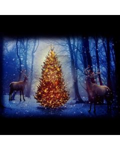 Tree Deer Moonlight Computer Printed Photography Backdrop HXB-581