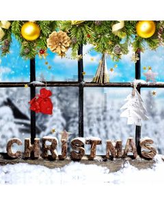 Window Plant Ball Snow Computer Printed Photography Backdrop HXB-583