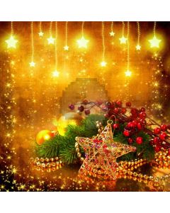 Plant Flower Star Light Computer Printed Photography Backdrop HXB-587