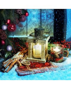 Candle Lemon Tree Window Computer Printed Photography Backdrop HXB-588