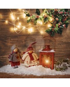 Character Light Snow Plant Computer Printed Photography Backdrop HXB-606