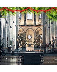 Stairs Pillar Arch Plant Computer Printed Photography Backdrop HXB-618