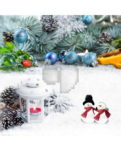 Snowman Ball Plant Light Computer Printed Photography Backdrop HXB-625