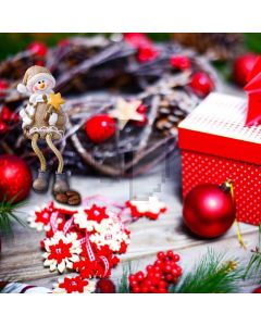 Present Red Ball Cartoon Character Computer Printed Photography Backdrop HXB-631