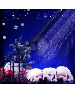 Dog Snowflake Plant Ball Computer Printed Photography Backdrop HXB-637