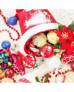 Hat Ball Snowflake Flower Computer Printed Photography Backdrop HXB-644