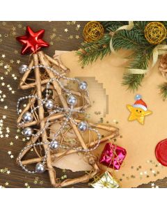 Star Plant Present Ball Computer Printed Photography Backdrop HXB-645