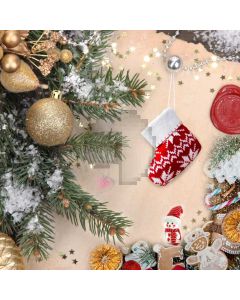 Sock Plant Ball Snowman Computer Printed Photography Backdrop HXB-646